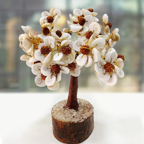 Pushkar Rudraksha Gomti Chakra Tree